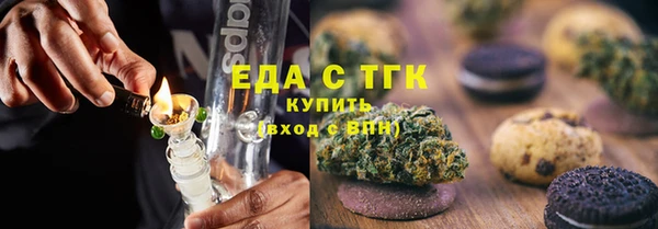 индика Новый Уренгой