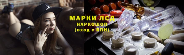прущие грибы Беломорск