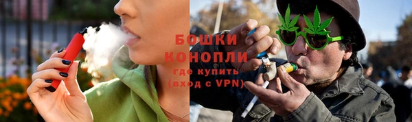ешки Белокуриха