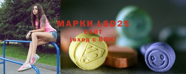 прущие грибы Беломорск