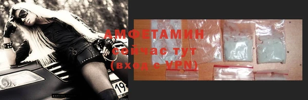 прущие грибы Беломорск