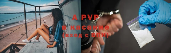 прущие грибы Беломорск