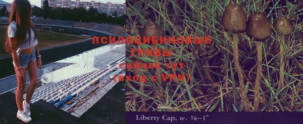 ешки Белокуриха