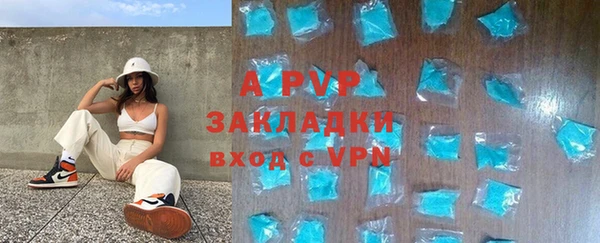 ешки Белокуриха
