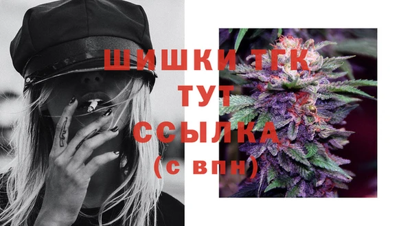 ешки Белокуриха
