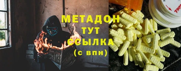 прущие грибы Беломорск