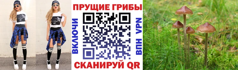 Галлюциногенные грибы Magic Shrooms  где найти   Бобров 