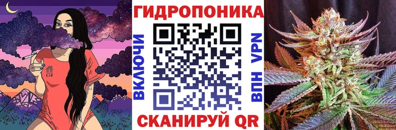 Каннабис гибрид  Бобров 